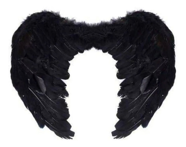 Alas Ángel Plumas Cosplay Disfraz Halloween Negro 50x36cms
