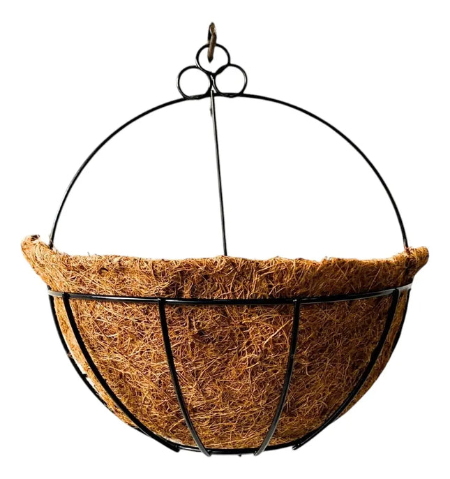 Macetero Muralla Palma De Coco Pak 3 Unidades 24cms Marrón claro / Pared
