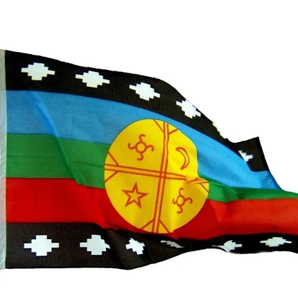 Bandera Mapuche Mediana 90 X 145cms, Poliester, Exclusiva