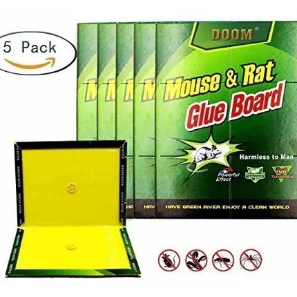 Pack Mata Ratón 5 X Trampa Caimán + 10 X Pegajosa + Envió