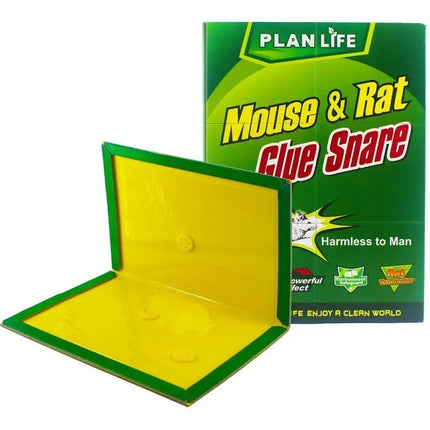 Pack Mata Ratón 5 X Trampa Caimán + 10 X Pegajosa + Envió