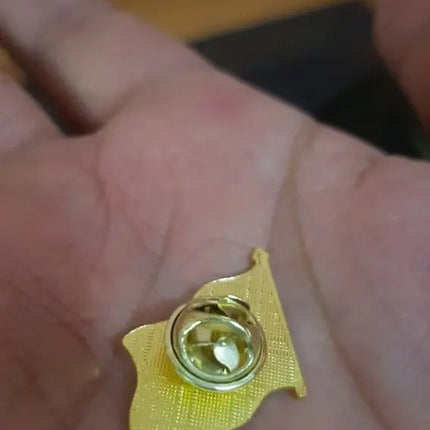 1 Piocha, Pin, Bandera Chilena Metálica, Botón, Chile